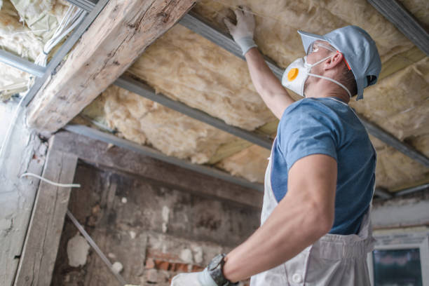 Best Insulation Inspection Services  in Pennsburg, PA